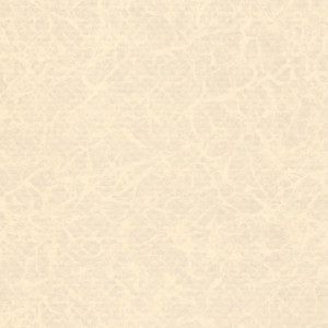 Folia basenowa Elbe PEARL, piaskowy perła, szer. 165 cm ELBE 2