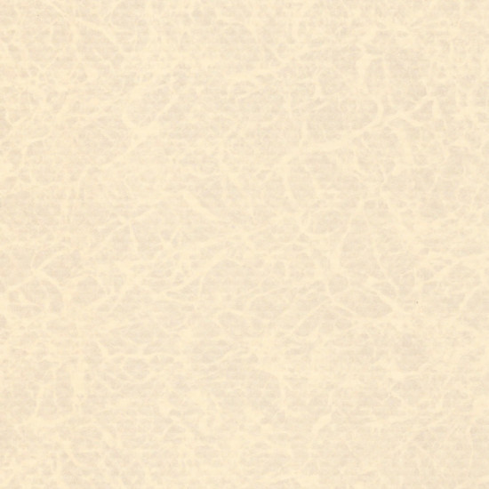 Swimming pool membrane, Elbe PEARL, sand pearl, 165 cm wide ELBE