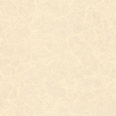 Folia basenowa Elbe PEARL, piaskowy perła, szer. 165 cm ELBE