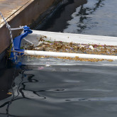 Siatka do basenu LEAF SKIMMER XXL ASTRAL POOL