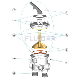 Spare parts for the six-way valve 3" ASTRAL POOL