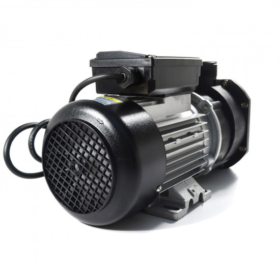 Pompa do basenu i wanny spa EA450 22 m3/h 1,1 kW 230V LX