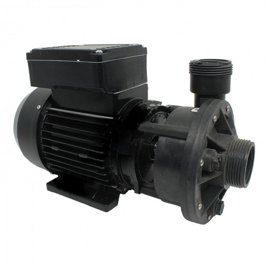Two-speed pump for pool attractions and spa tub 48F Hi-Flo 45 m3/h 1,5 kW 230V WATERWAY