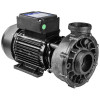 Two-speed pump for pool attractions and spa tub 56F VIPER 2,71 kW 230V