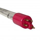 Bulb 75W for lamp UV-C BUDGET XCLEAR