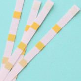 Strip tester for swimming pools salt levels WATER I.D.