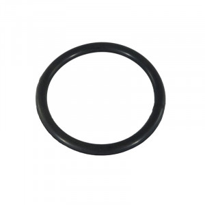 Gasket for pool lamps PAR56