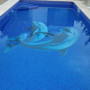 Pool mosaic glass decoration Happy Dolphins EZARRI 2
