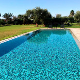 Pool glass mosaic series COCKTAIL, colour MANHATTAN EZARRI