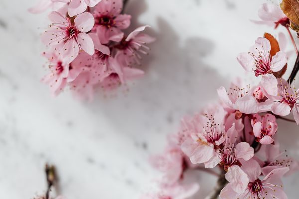 Zapachy do wanien SPA