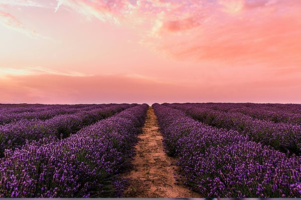 Zapachy do wanien SPA