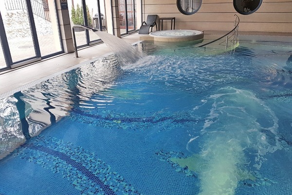 Hotel swimming pool - Ogrodzieniec
